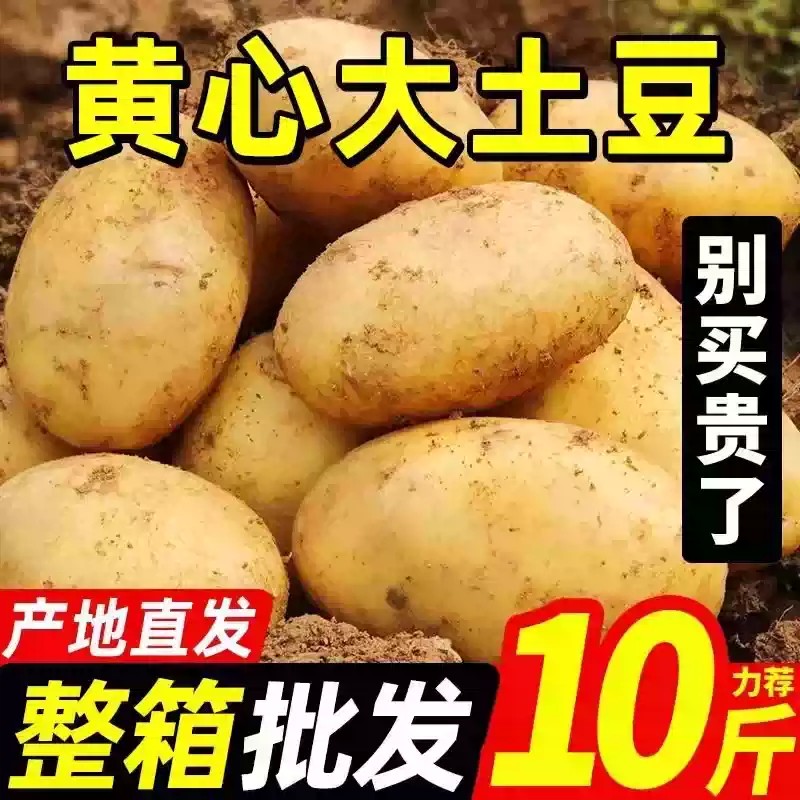 O1CN01AcE8Ci1wVribr3mH7_!!2212041466314.png_q50.jpg_.jpg