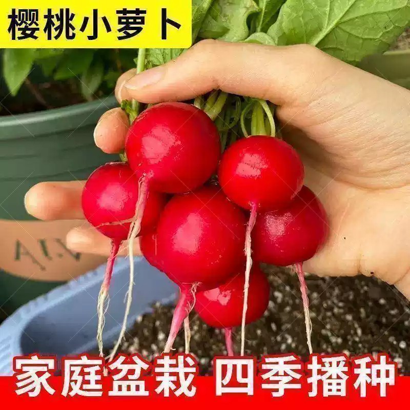 O1CN01PfwDzH1LyasWVisaJ_!!2651951368.jpg_q50.jpg_.jpg